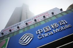 (8分钟科普下)绥化公司咨询电话号码_哔哩哔哩-2
